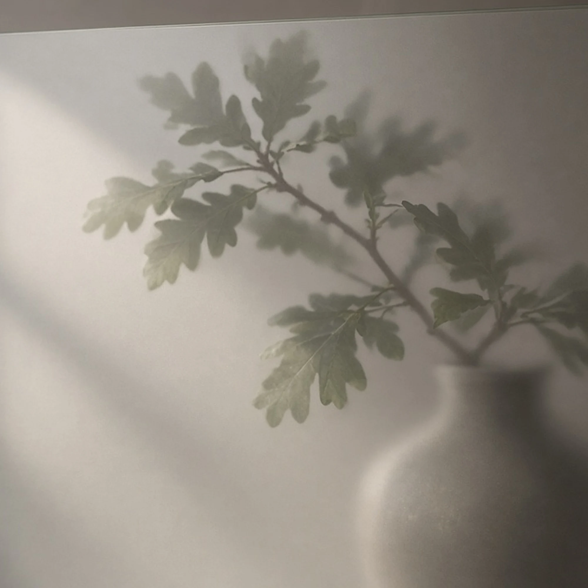 Clear satin acid-etched glass texture close-up, illustrative render